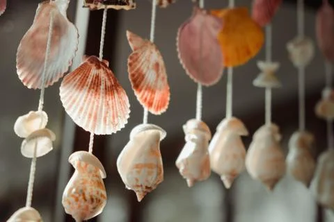 Mobile made from shells Hanging on the window Eye-catching colors When the wi Foto stock