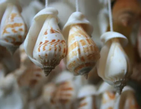 Mobile made from variety shells Stock Photos