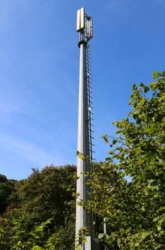 Mobile network tower hidden away in woodland. Clear against a summer sky. Stock Photos