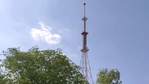 Mobile network tower with tree branches and blue sky Stock Footage 164951278