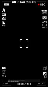 Mobile phone camera rec overlay isolated on black background. Recorder cam Stock Illustration