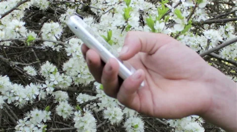 Mobile phone in hand Video stock 49615459