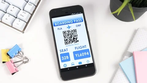 Mobile Plane Ticket QR Code on a Smartphone Screen Stock Footage 88681920