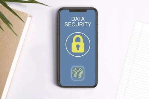 Mobile screen showing a lock icon and a fingerprint security system. Foto stock