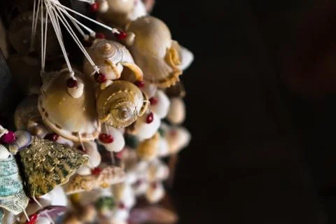 Mobile Shell 스톡 사진