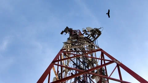 Mobile tower providing internet signal in daylight with antennas Stock Footage 331582080