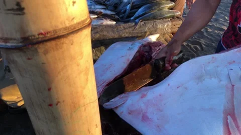 Mobula, or devil ray, is being chopped for sale at the seaside fish market. Stock Footage 310324769