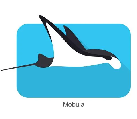 Mobula swimming in the sea, vector Stock Illustration