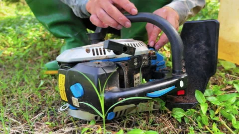 Moc Chau Vietnam plum tree pruning after harvest using chainsaw on farm Stock Footage 324945845
