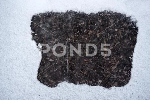 Mocap a thawed patch in the snow Stock Photos