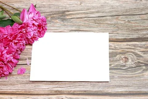 Mocap on wooden background with peonies Foto stock