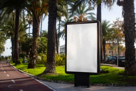 Mock up of blank white vertical light box with palm trees on island Palma de  Stock Photos