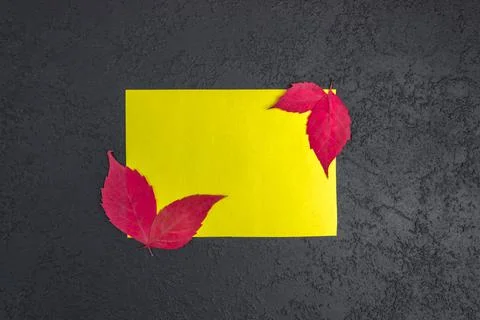 Mock up of a blank yellow sheet on a dark concrete background Stock Photos
