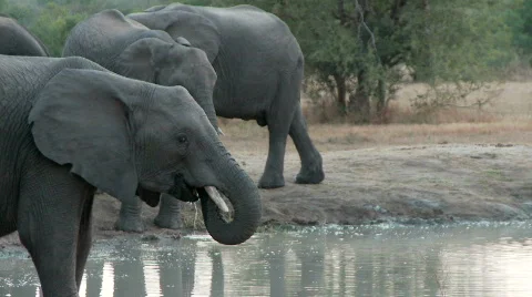 Mock Charge 库存影片 687078