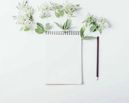 Mock-up with clean notepad and small green flowers 库存照片