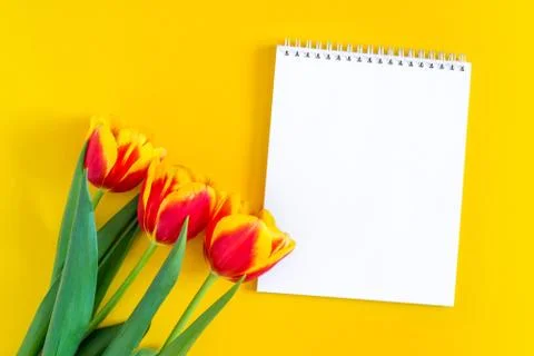 Mock up. Copy space for text in Notepad and beautiful red and yellow fresh Stock Photos