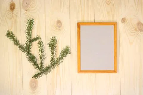 Mock up empty wood frames and fir twigs on azure pine wood wall background Stock Photos