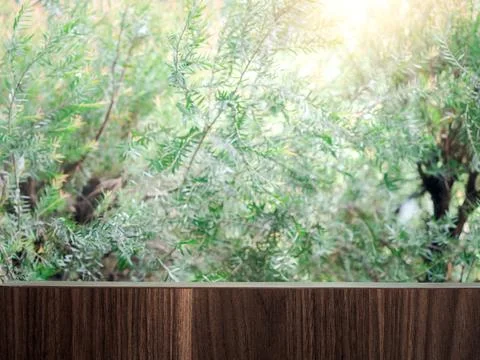 Mock up empty wood table texture on blur fresh green pine garden background.. Stock Photos