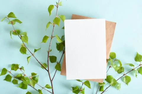 A mock-up of an envelope, a white sheet of paper and birch branches on a ligh Stock Photos