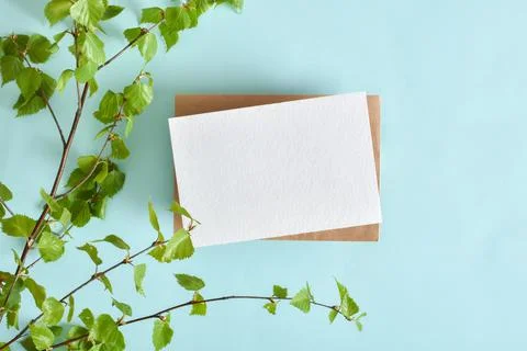A mock-up of an envelope, a white sheet of paper and birch branches on a ligh Foto stock