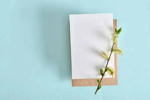A mock-up of an envelope, a white sheet of paper and willow branches on a lig Foto stock
