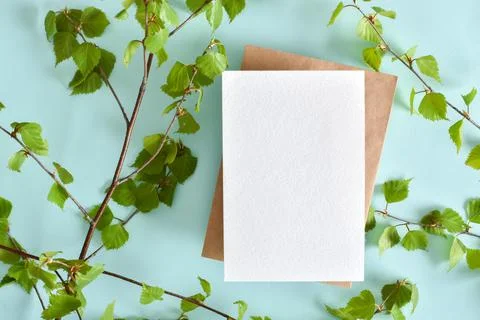A mock-up of an envelope, a white sheet of paper and birch branches on a ligh Stock Photos