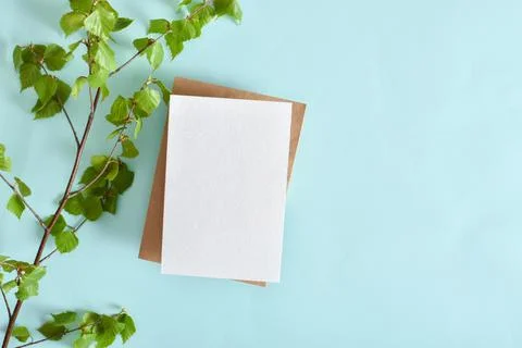 A mock-up of an envelope, a white sheet of paper and birch branches on a light Stock Photos
