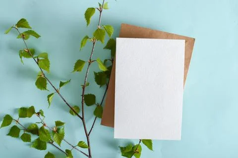 A mock-up of an envelope, a white sheet of paper and birch branches on a light Foto stock