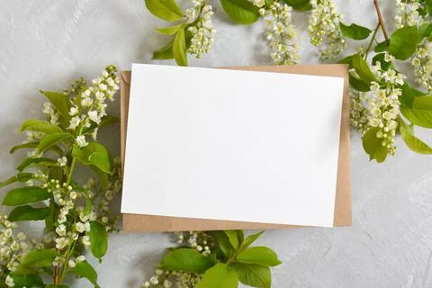 A mock-up of an envelope, a white sheet of paper and cherry branches on a lig Stock Photos