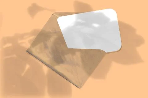 A mock-up with floral shadows on an envelope with a sheet of white paper on an Stock Illustration