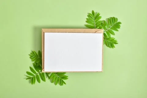 A mock-up of a kraft envelope and a blank sheet on a green background with ro Stock Photos