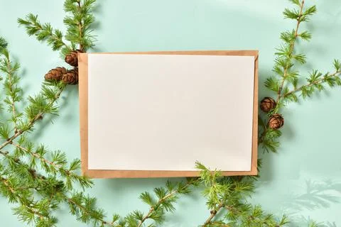 A mock-up of a kraft envelope with a blank sheet and a branch of green larch  Stock Photos