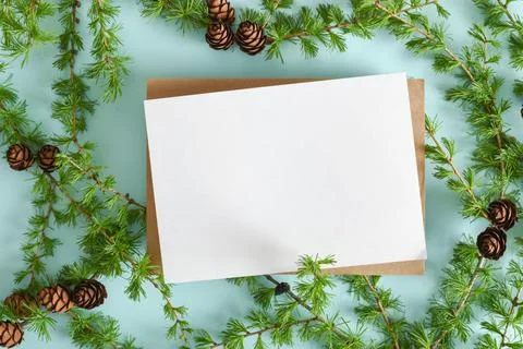 A mock-up of a kraft envelope with a blank sheet and a branch of green larch  Stock Photos