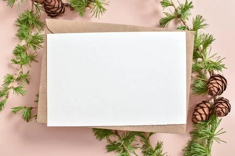 A mock-up of a kraft envelope with a blank sheet and a branch of green larch  Stock Photos