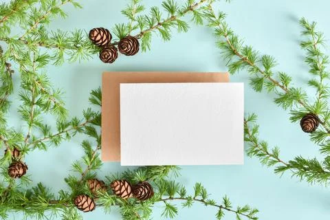 A mock-up of a kraft envelope with a blank sheet and a branch of green larch on Stock Photos