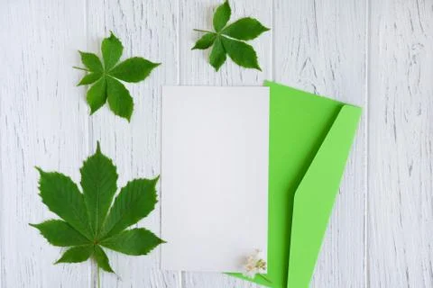 Mock up with letter envelope and green chestnut leaves. Spring template for g Stock Photos