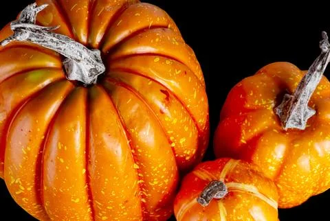 Mock up Pumpkins isolated over black background. Halloween Concept. Autumn,.. Stock Photos
