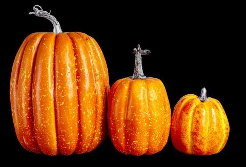 Mock up Pumpkins isolated over black background. Halloween Concept. Autumn,.. Stock Photos