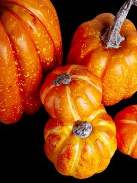 Mock up Pumpkins isolated over black background. Halloween Concept. Autumn,.. Stock Photos