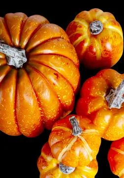 Mock up Pumpkins isolated over black background. Halloween Concept. Autumn,.. Stock Photos