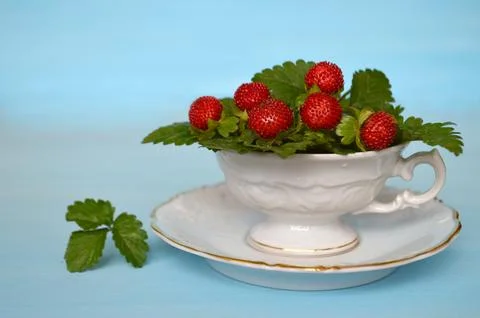 Mock strawberries Stock Photos