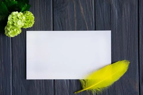 Mock up template with envelope, postcard and small yellow wildflowers. Frame Stock Photos