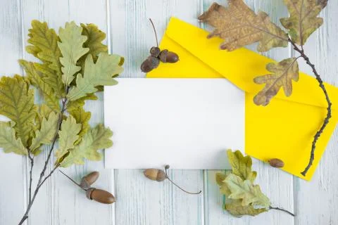 Mock up template with a written envelope with oak fruits and leaves on a whol Stock Photos