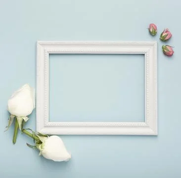 Mock up white horizontal empty frame with rosebuds blue background High Stock Photos