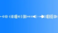 Mocking Bird At Night 2Sound Effect