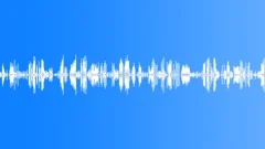 Mocking birdSound Effect