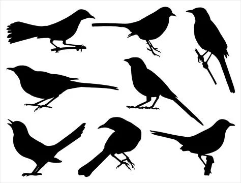 MOCKINGBIRD SILHOUETTE VECTOR ART Stock Illustration