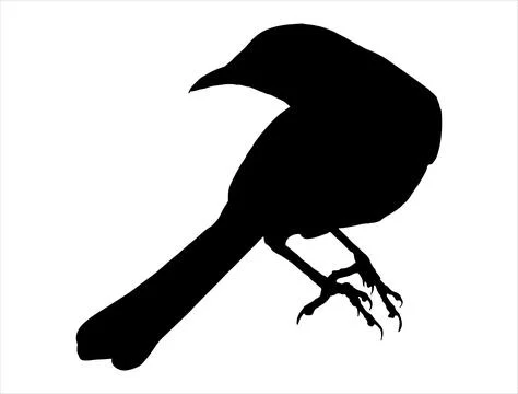 Mockingbird silhouette vector art Illustrazione stock
