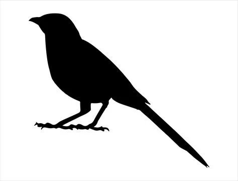 Mockingbird silhouette vector art Illustrazione stock