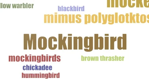 Mockingbird Tag Cloud Animated Isolated Stock Footage 107241352